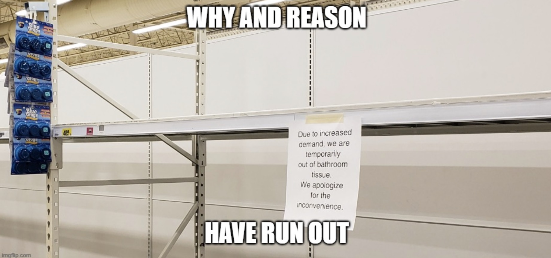 Why And Reason Have Run Out